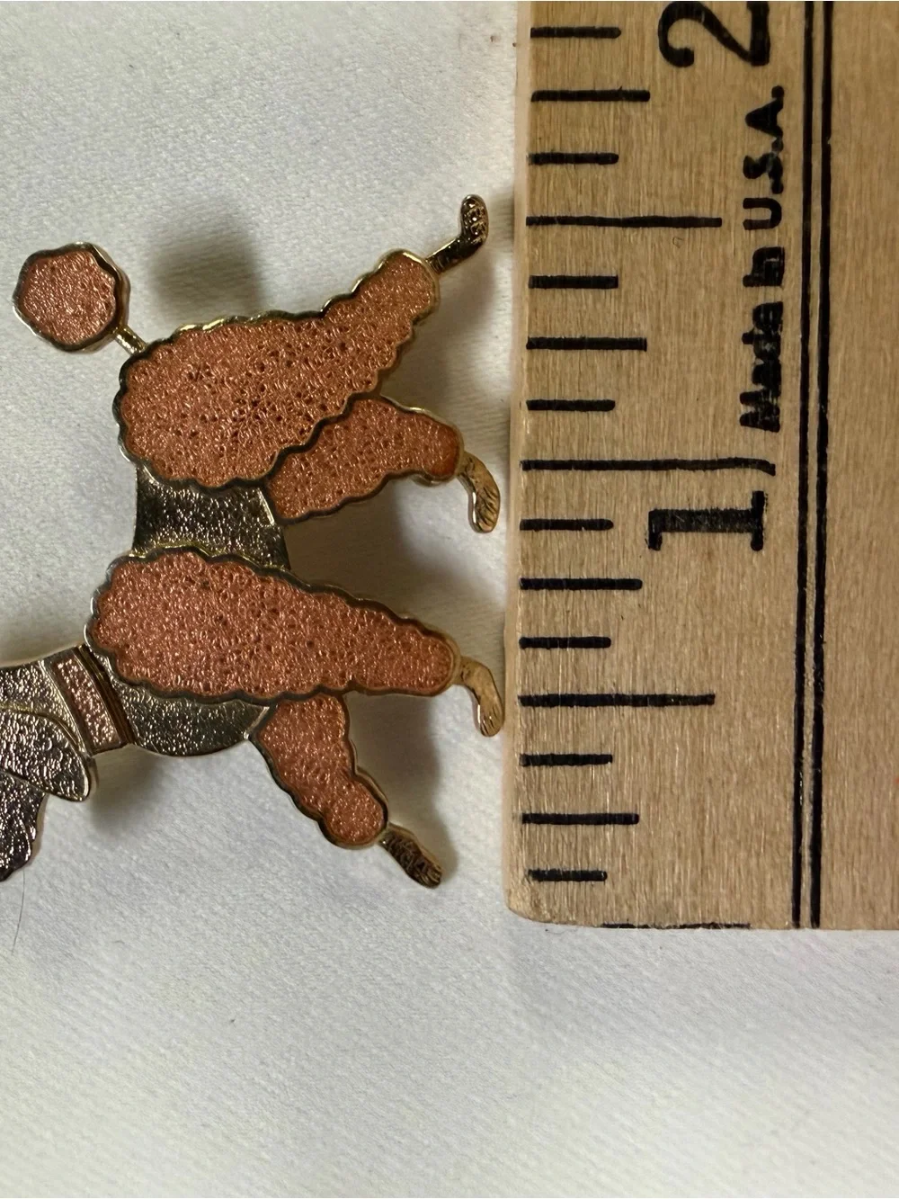 N/A cute poodle
